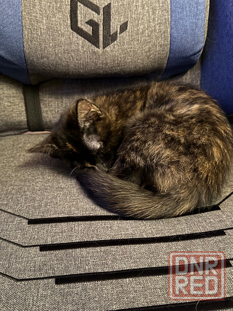 срочно Донецк - изображение 3