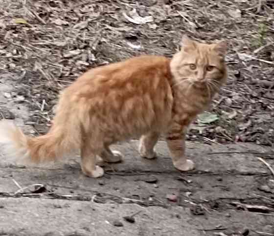 Отдам даром Донецк