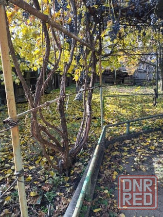 Продаю 3-х комнатный дом в Киевском районе, Ветка Донецк - изображение 8