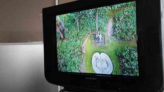 RAINFORD 21''ultraslim ,в отличном состоянии с пультом Донецк