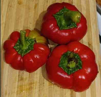 рассада Донецк