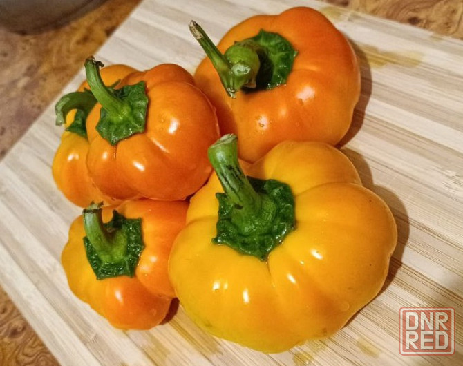 рассада Донецк - изображение 7