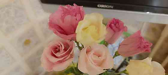 Лизиантус (эустома) Донецк