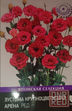 Лизиантус (эустома) Донецк - изображение 2