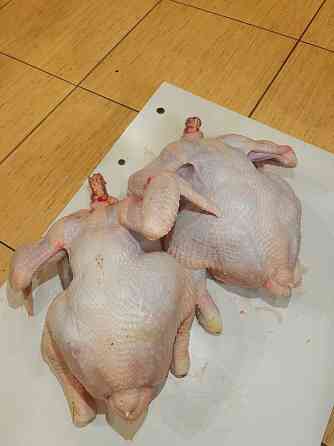 Домашние бройлеры Донецк