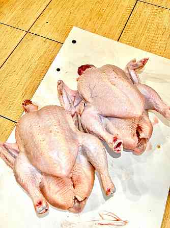 Домашние бройлеры Донецк