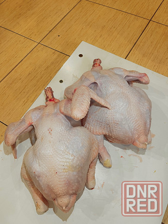 Домашние бройлеры Донецк - изображение 2