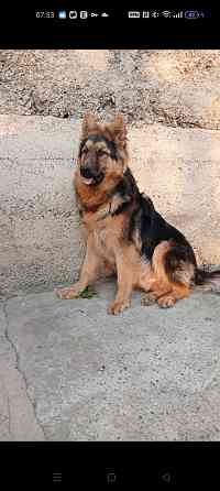 Вязка кабеля Макеевка