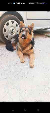 Вязка кабеля Макеевка