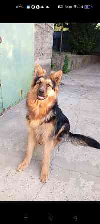 Вязка кабеля Макеевка