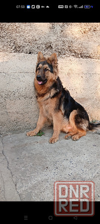 Вязка кабеля Макеевка - изображение 1