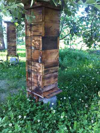 Улей японский, классический. Донецк