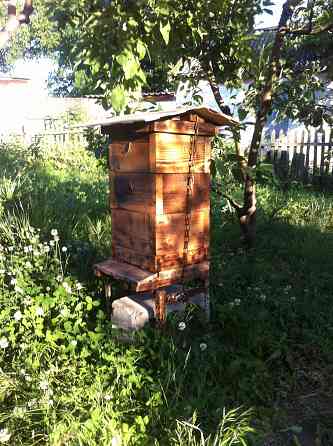 Улей японский, классический. Донецк