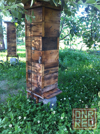 Улей японский, классический. Донецк - изображение 1