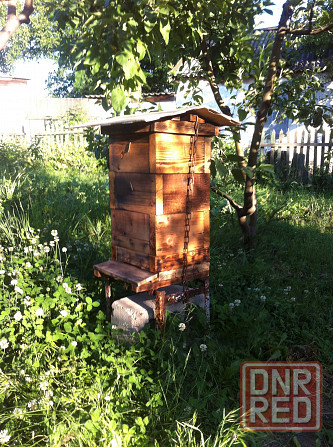 Улей японский, классический. Донецк - изображение 2