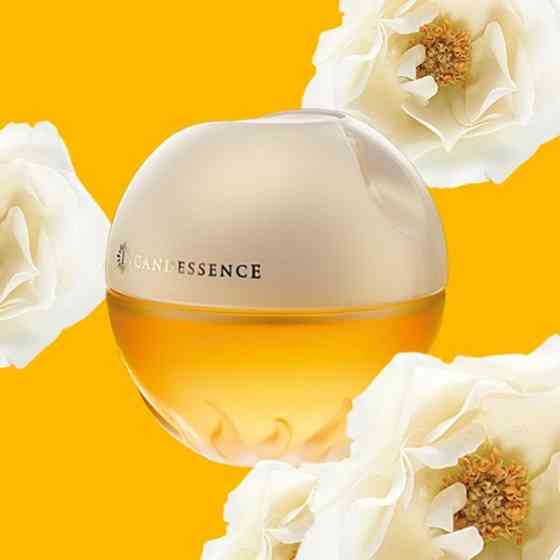 Инкандесанс эйвон Донецк