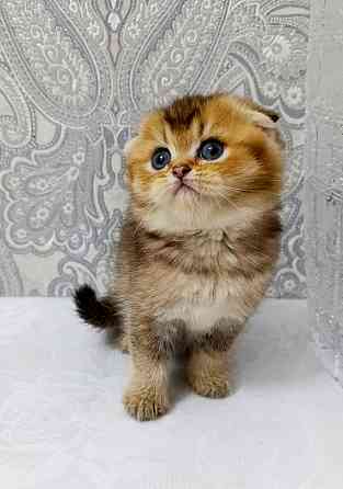 Плюшевая малышка Макеевка