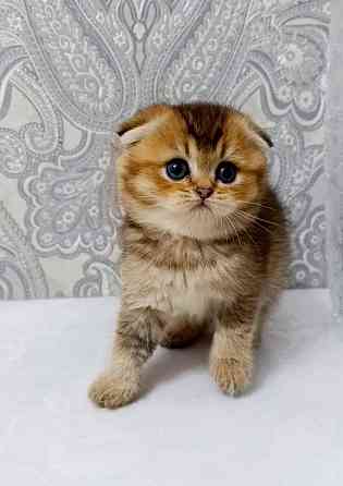 Плюшевая малышка Макеевка