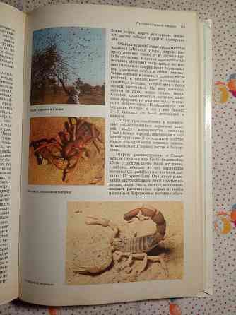 Пустыни Донецк