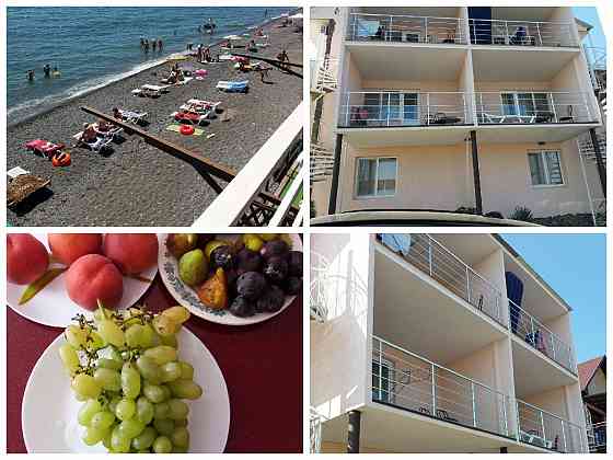 Алушта эллинги Приветное Катран Донецк