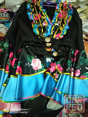 Пошив костюмов : новогодних, карнавальных, танцевальных Донецк - изображение 5