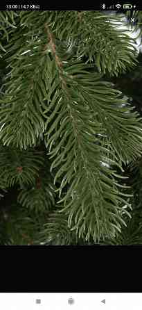 Ёлка искусственная Макеевка