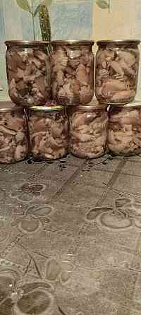 Грибы маринованные вешенка Донецк