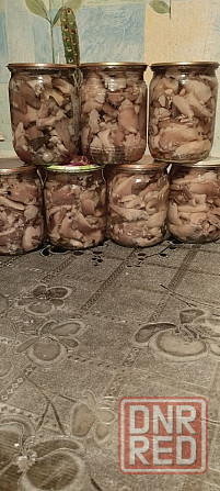 Грибы маринованные вешенка Донецк - изображение 1