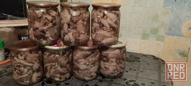 Грибы маринованные вешенка Донецк - изображение 2