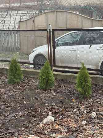 Дача снт Респиратор Донецк