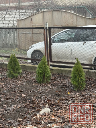 Дача снт Респиратор Донецк - изображение 2