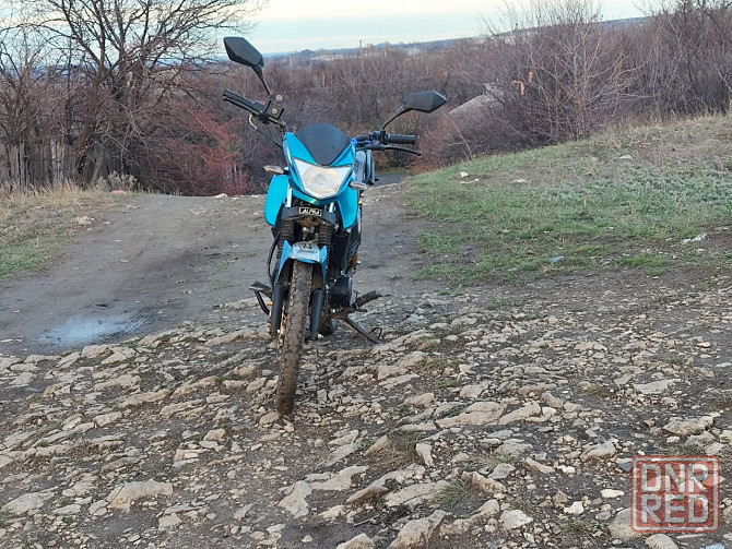 Продам альфу чамп Стаханов - изображение 3