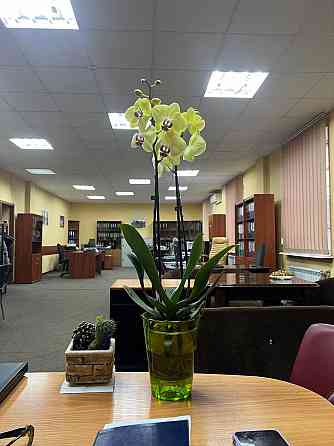 долгосрочная аренда офисных помещений 500 рублей Донецк