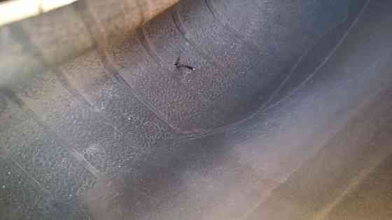 Зимняя резина NEXEN 175/65 R14 86T ice plus Донецк