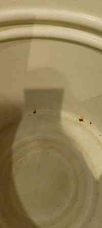 кастрюля 40 л. Донецк