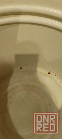 кастрюля 40 л. Донецк - изображение 3