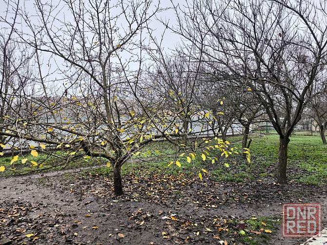 Продам дом 180 кв.м. в живописном месте, берег пруда, 15 соток. Донецк - изображение 11