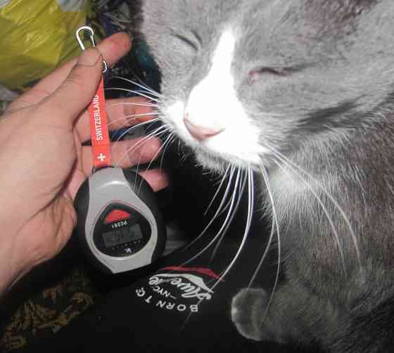 Ссо швейцурски мехонизмъом Донецк