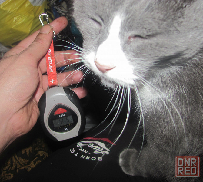 Ссо швейцурски мехонизмъом Донецк - изображение 1