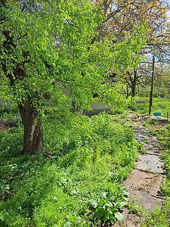 Продам дом с участком 20 соток Донецк