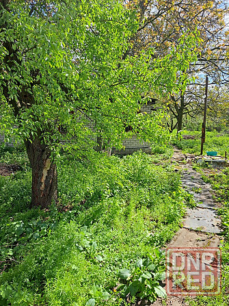 Продам дом с участком 20 соток Донецк - изображение 6