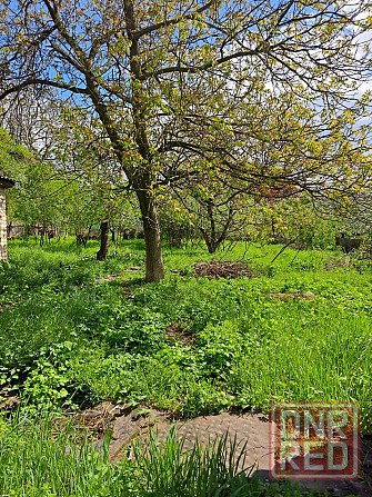 Продам дом с участком 20 соток Донецк - изображение 3