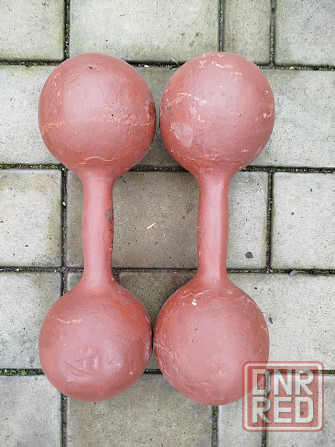 Гантели 10 кг Донецк - изображение 1