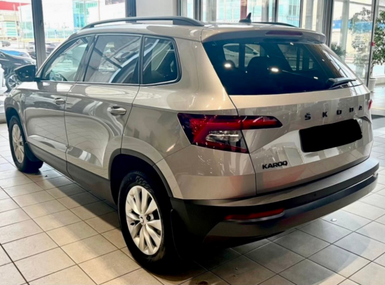 Skoda Karoq 2021год Рейсталинг Вся в родной краске состояние супер идеал один хоз зелёная автотека Донецк