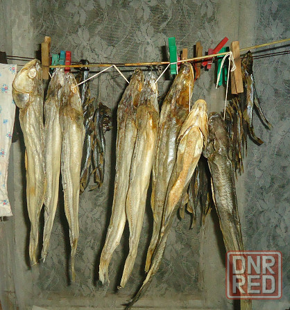 Ещё и рыба, за каждые часы Донецк - изображение 1