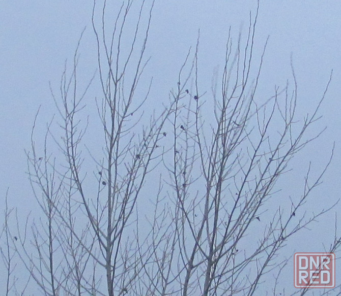 За мене риє окопи кардіолог Донецк - изображение 1