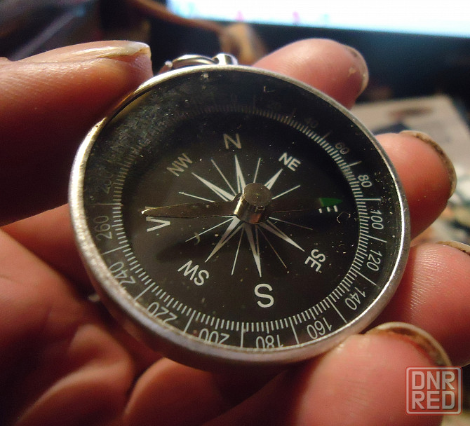 Славнозвістна Дарья "на Грохот Донецк - изображение 1