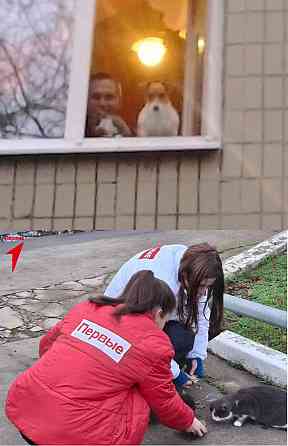 Возле дома, дома, у кротэ Цоф Донецк