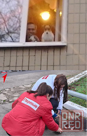 Возле дома, дома, у кротэ Цоф Донецк - изображение 1