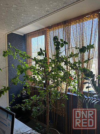 3к квартира с ремонтом Боссе Донецк - изображение 5